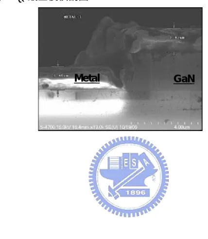 圖 2-5 、鍍金後橫剖圖