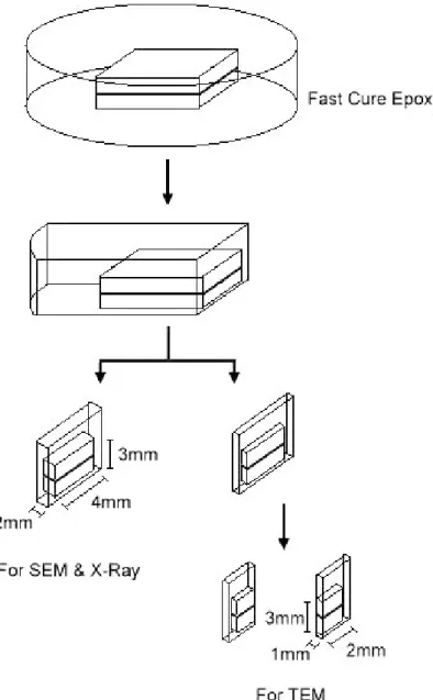 圖 3.3  試片製備之前置作業，冷鑲埋及 SEM 與 TEM 之試片切取尺寸。 