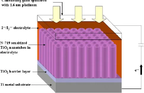 圖 2-17  二氧化鈦奈米管陣列，背面式照光示意圖 