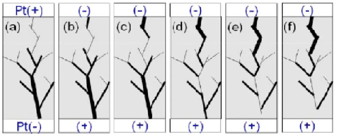 Fig. 1-12 Schematic diagram for switching from LRS to HRS. (a) LRS formed by positive  bias on TE