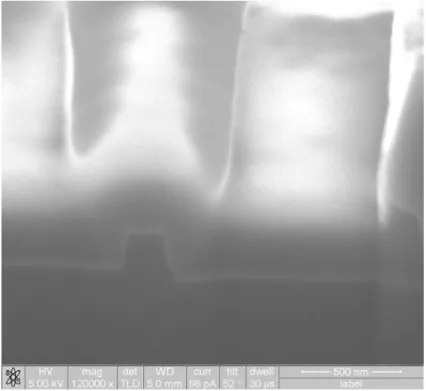 Fig. 3.1 FIB image of a double patterning gate with nominal length  L mask = 0.3 μ .  m