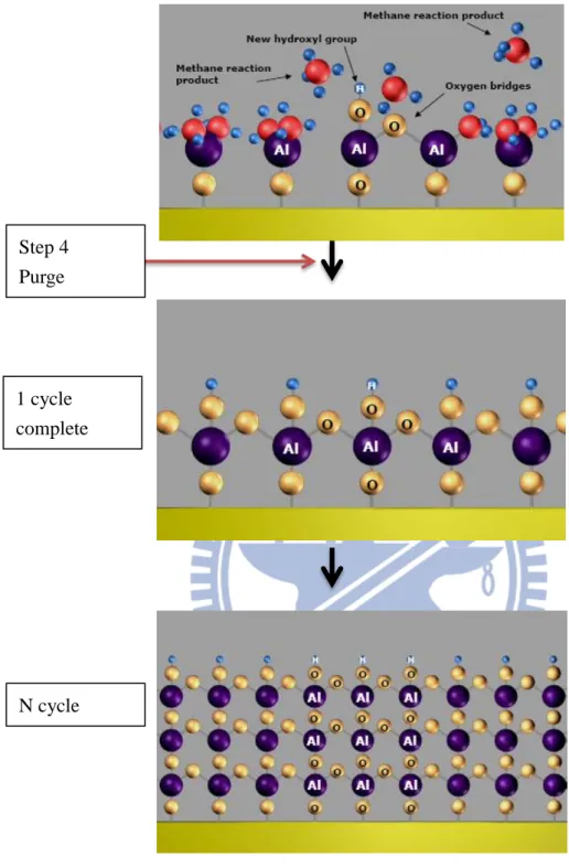 圖 2-5 ALD 以 Al 2 O 3 為例一個 cycle 的示意圖【22】 Step 4 Purge 1 cycle complete N cycle 