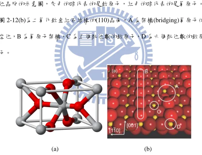 圖 2-12 (a)為 TiO 2  rutile  的單位晶包模擬圖(b)為 TiO 2  rutile (110)表面的模擬 圖【33】