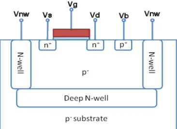 Fig. 2. 16 Cross-sectional view of the DTMOS device with deep N-well structure 