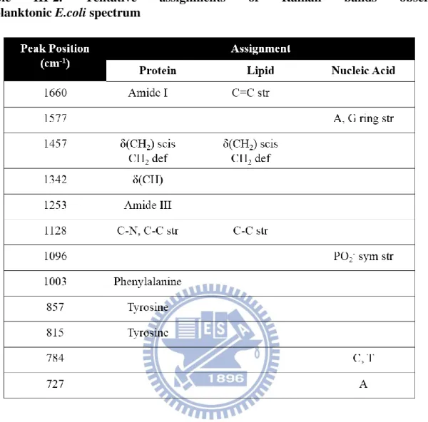 Table  III-2.  Tentative  assignments  of  Raman  bands  observed  in planktonic E.coli spectrum 