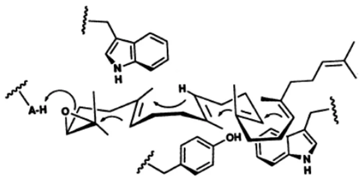 Figure 1.7 Griffin’s hypothesis model for involvement of aromatic residues in  cyclization of OS to protosteryl cation 