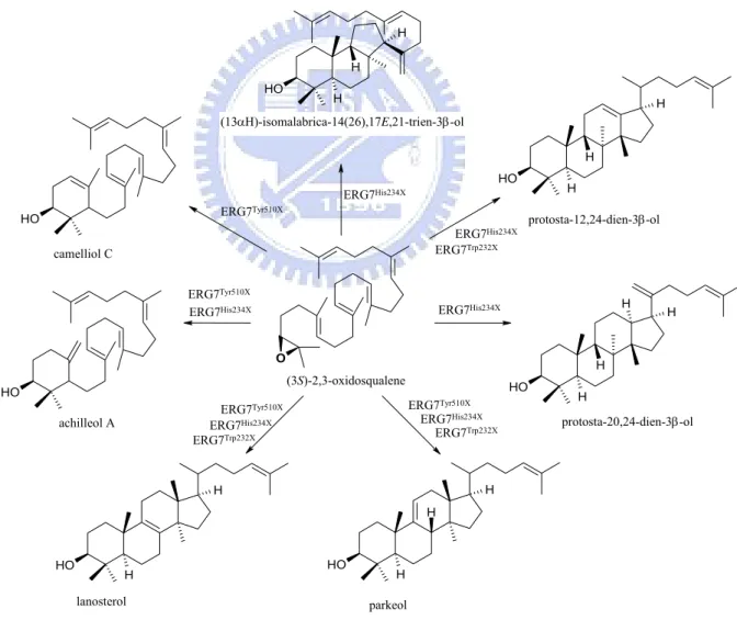 Figure 1.13 The products diversity from site-saturated mutant of His234, Tyr510 and  Trp232