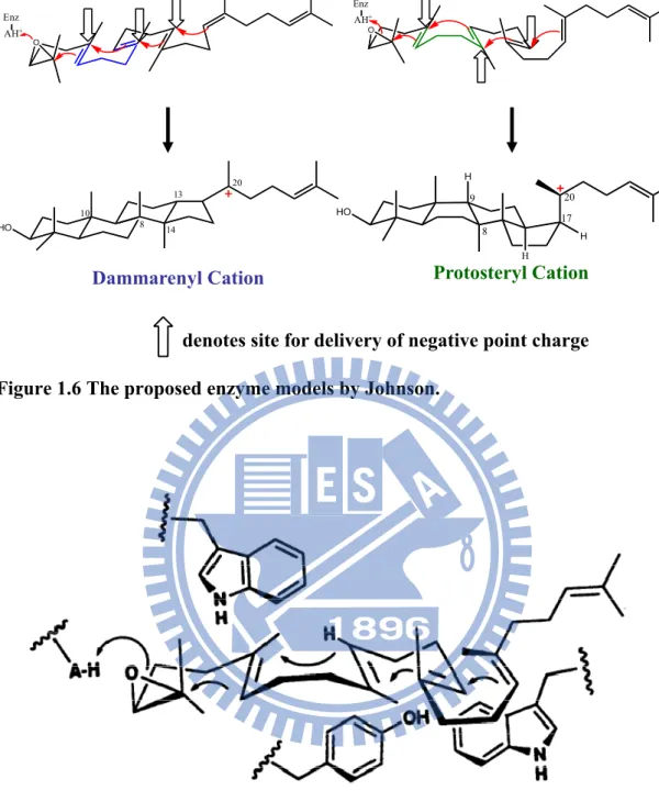 Figure 1.7 Griffin’s hypothesis model for involvement of electron-rich aromatic side  chains from Trp and Tyr residues in the cyclization of oxidosqualene to the  protosteryl cation