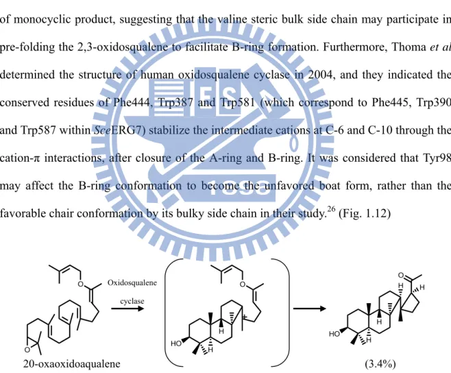 Figure 1.11 Substrate analog and product of oxidosqualene cyclase which are  suggestive of a five-membered C-ring intermediate