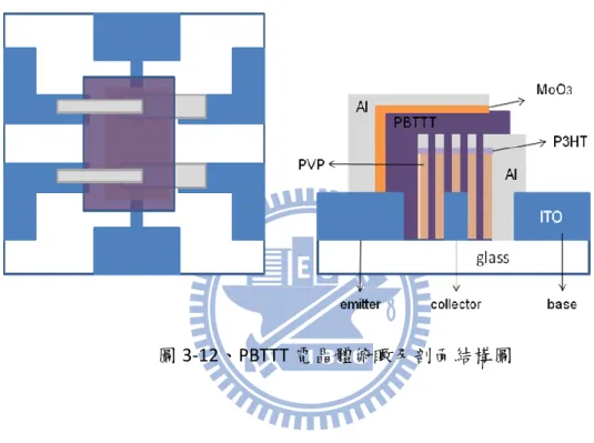 圖 3-12、PBTTT 電晶體俯瞰及剖面結構圖 