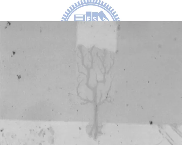 Fig.  2-3  Optical  image  from  the  filamentary  region.  This  is  a  typical  breakdown  filament