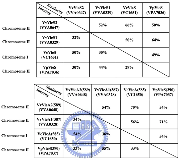 Table 5. Amino acid sequence identity and similarity of the VieSA gene clusters.  29%44%30%VpVieS (VPA7036) 30% 49%50%VcVieS(VC1651)64%32%50%VvVieS1(VVA0329)50%66%VvVieS252%(VVA0647) VpVieS (VPA7036)VcVieS(VC1651)VvVieS1(VVA0329)VvVieS2(VVA0647)29%44%30%Vp
