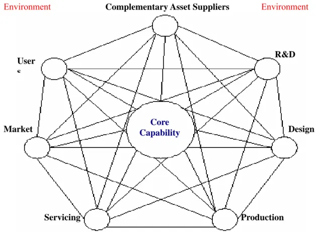 圖 2-5  企業結合外部資源涵量所構成的核心競爭力網脈 