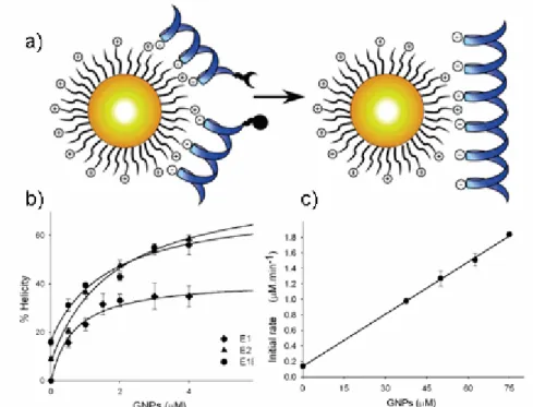 Figure 2.5: a) The design of functionalized, cationic GNPs as a template for peptide  ligation