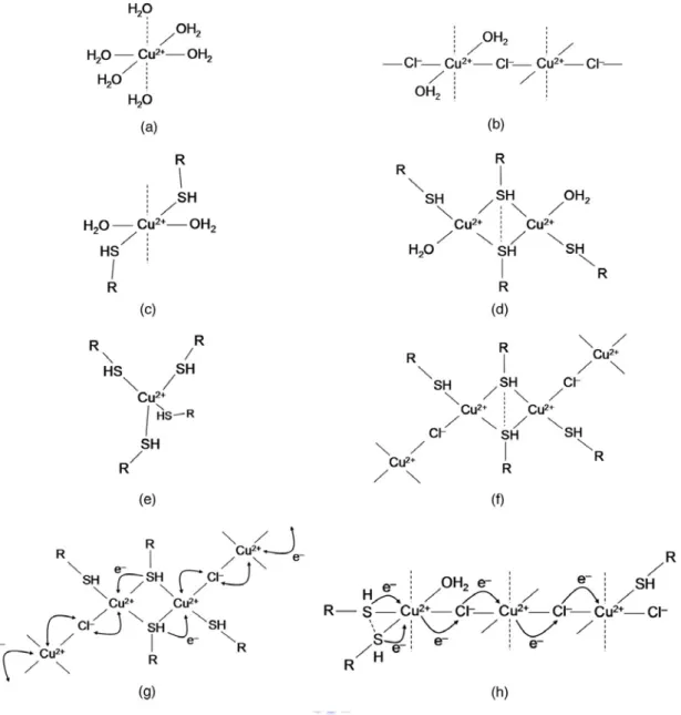 Figure 2-3. Illustration of various outer and inner sphere electron transfer models of    Cu 2+  complexes [17]