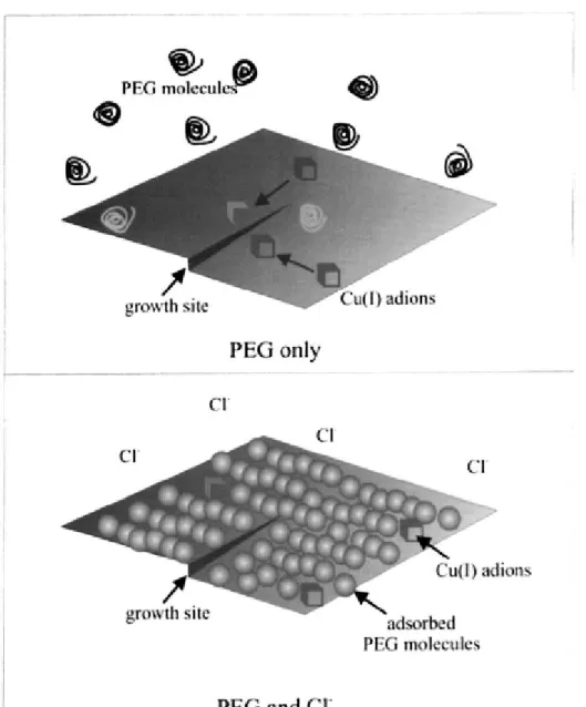 Figure 2-5. A schematic diagram of PEG behavior model [19]. 