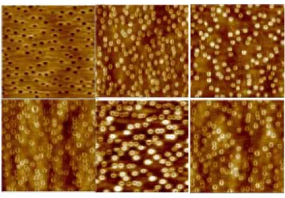 Figure 1. The surface morphology of quantum rings with different growth conditions 
