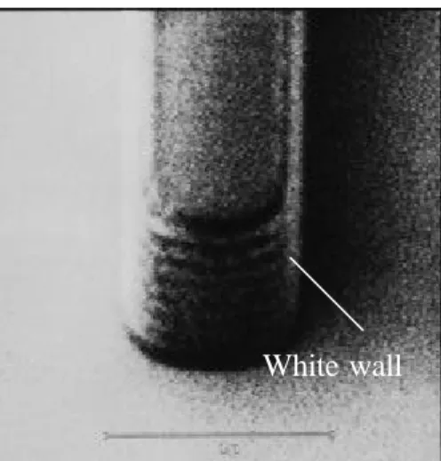 Figure  6.5  I-line  light source, PFI-58 resist, exposure dose =200 mJ / cm 2 ,  focus=0µm: Observed with the Applied Materials SEM at a  scanning angle of +45°:  line-width=0.682 µm,  white wall, and   three -dimensional picture