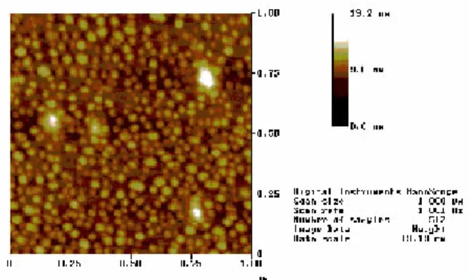 Figur e  12.  AFM  image  of  GaAs  anti-dots  on  an  InAs  substr ate.
