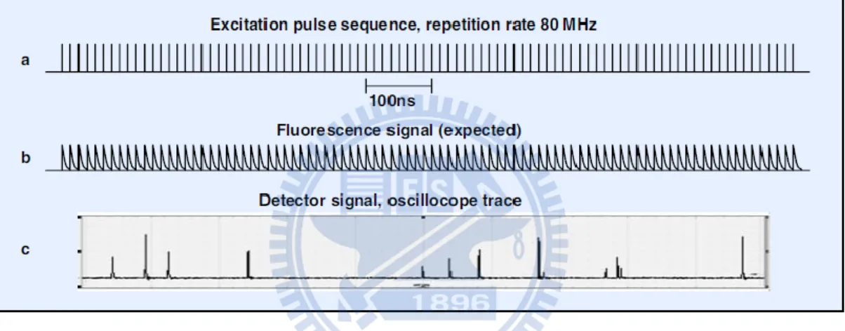 Figure 2.2-4 Detector signal for fluorescence detection at a pulse repetition rate  of 80 MHz