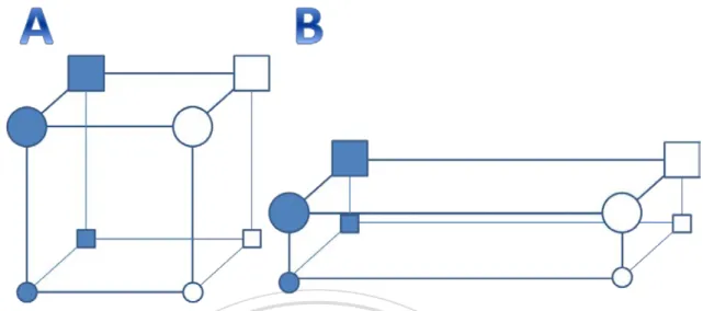 Figure  3.  Mental representation structures  transformed by different attentional weights on features