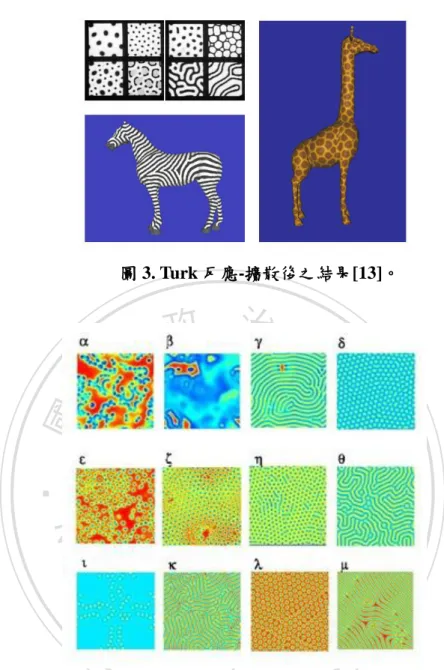 圖 4. Complex Patterns in a Simple System[14]所生成的十二種紋路圖樣。 