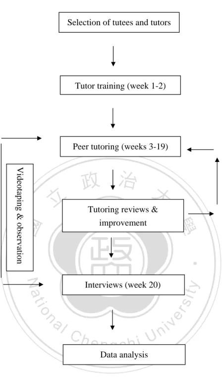 Figure 1：Procedures and Data Collection of the Study Selection of tutees and tutors 