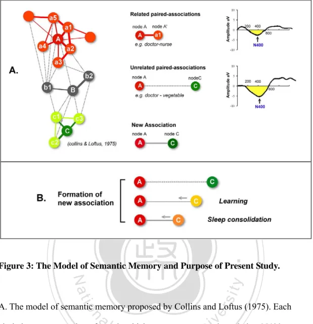 Figure 3: The Model of Semantic Memory and Purpose of Present Study. 