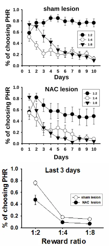 Figure 5. Lesion effects of nucleus accumbens (NAC) on percentage of choosing  probabilistic high reward (PHR) on three conditions of reward ratio in the 
