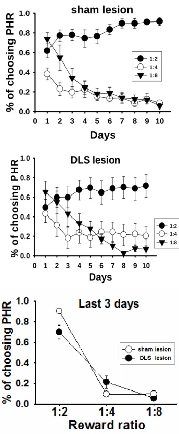 Figure 6.    Lesion effects of dorsolateral striatum (DLS) on percentage of choosing  probabilistic high reward (PHR) on three conditions of reward ratio in the 