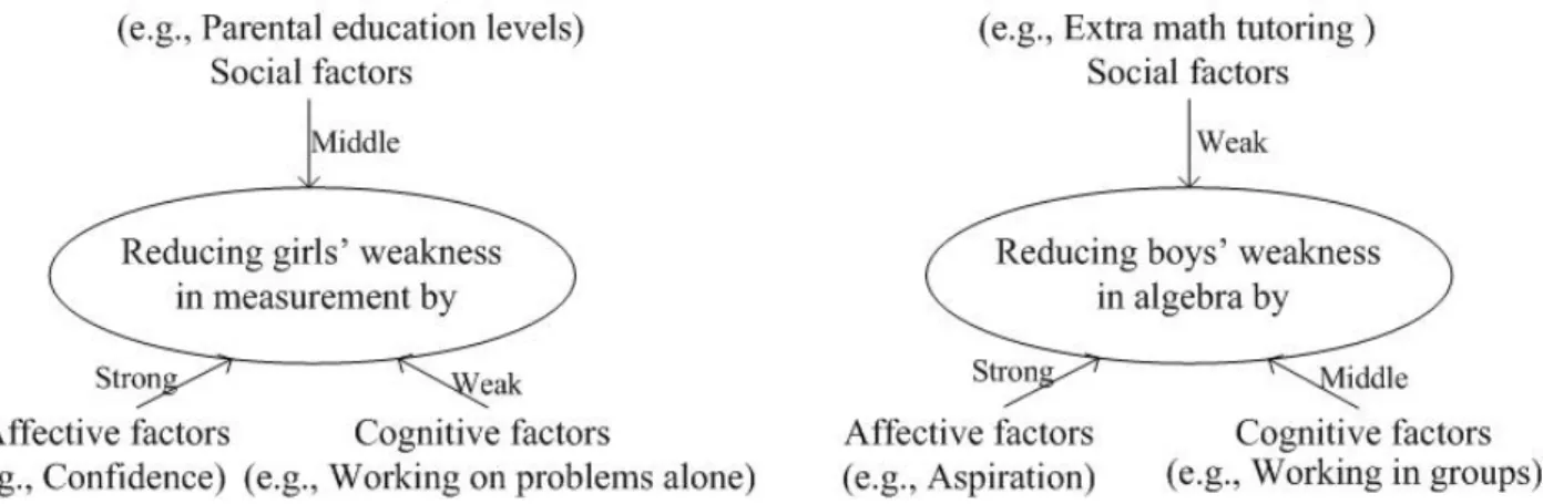 Figure 2: Differential affective, cognitive, and social sub-factors in  reducing gender differences in measurement and algebra 