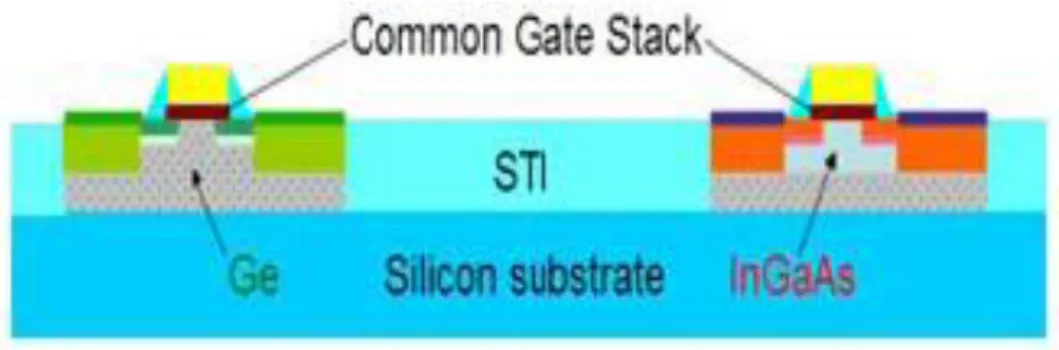 Fig.  1.2      One  of  the  several  possible  future  high-performance  CMOS  architecture  by  D