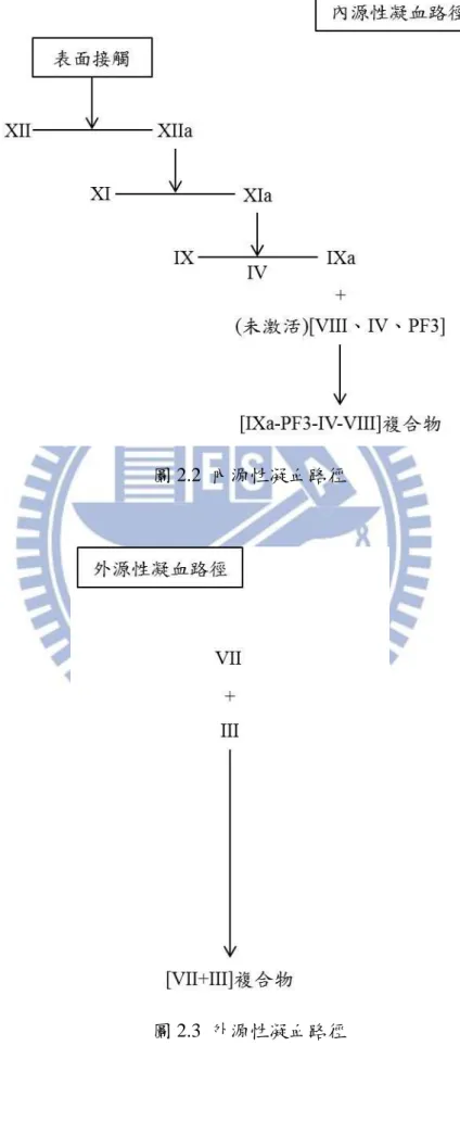 圖 2.2  內源性凝血路徑 
