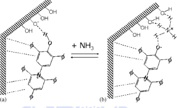 圖 2-1  利用 Rechardt’s dye 嵌入中孔洞 SBA 材料進行氨氣偵測示意圖  (Fiorilli et al., 2004) 