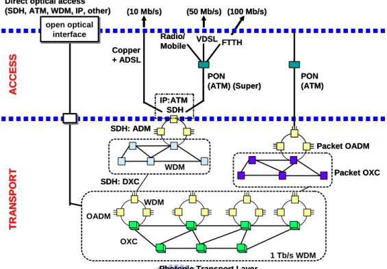 Figure 1.1: Network evolution options.  
