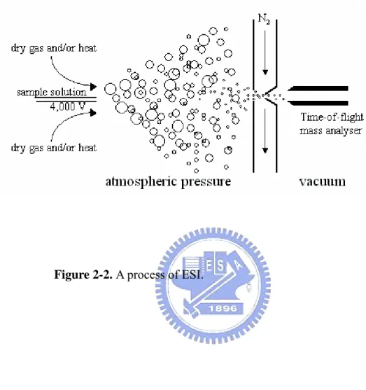 Figure 2-2. A process of ESI.   