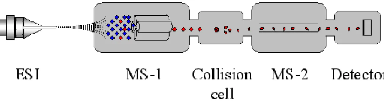 Figure 2-3. Configuration used in Q-TOF ESI-MS/MS. 