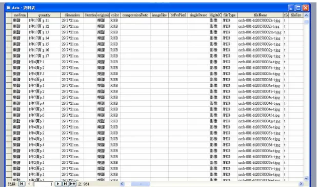 圖  九 Microsoft Access 建檔畫面 