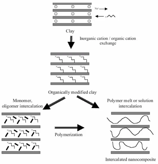 Figure 1-9 Schematic of the basic steps in processing clay-filled polymers. 