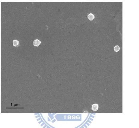 Fig. 1 Micrograph of Lipo-PEI-PEG Complex (LPPC) nanoparticles 