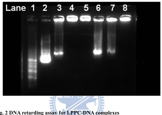 Fig. 2 DNA retarding assay for LPPC-DNA complexes 