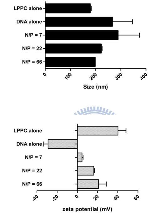 Fig. 3 Particle size and zeta-potential analysis of LPPC-DNA complexes  100μg, 300μg and 900μg LPPC were mixed with fixed amount (18 μg) of DNA  and gave rise to DNA complexes at different N/P ratios