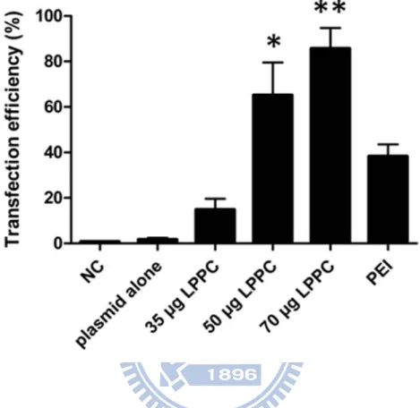 Fig. 4 In vitro transfection efficiency of LPPC/DNA complexes 