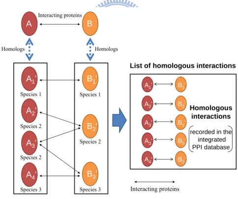 Figure 1. Illustration of searching homologous interactions. Interacting proteins A and B is the  query protein pair given by users