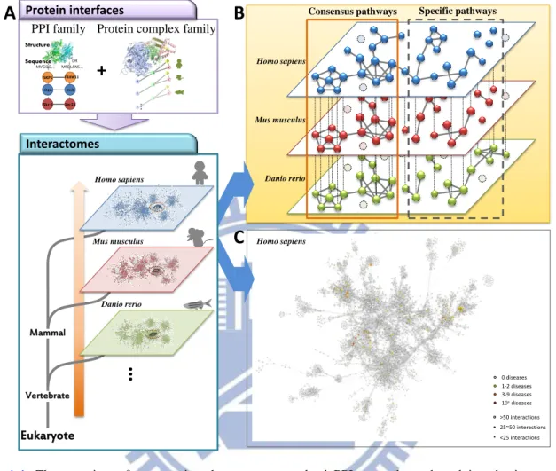 Figure  1-1.  The  overview  of  constructing  the  structure  resolved  PPI  networks  and  studying  the  interactome  behavior 