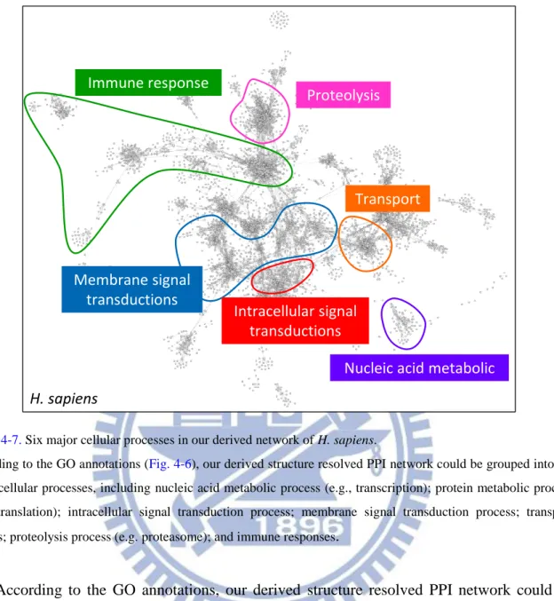 Figure 4-7. Six major cellular processes in our derived network of H. sapiens. 
