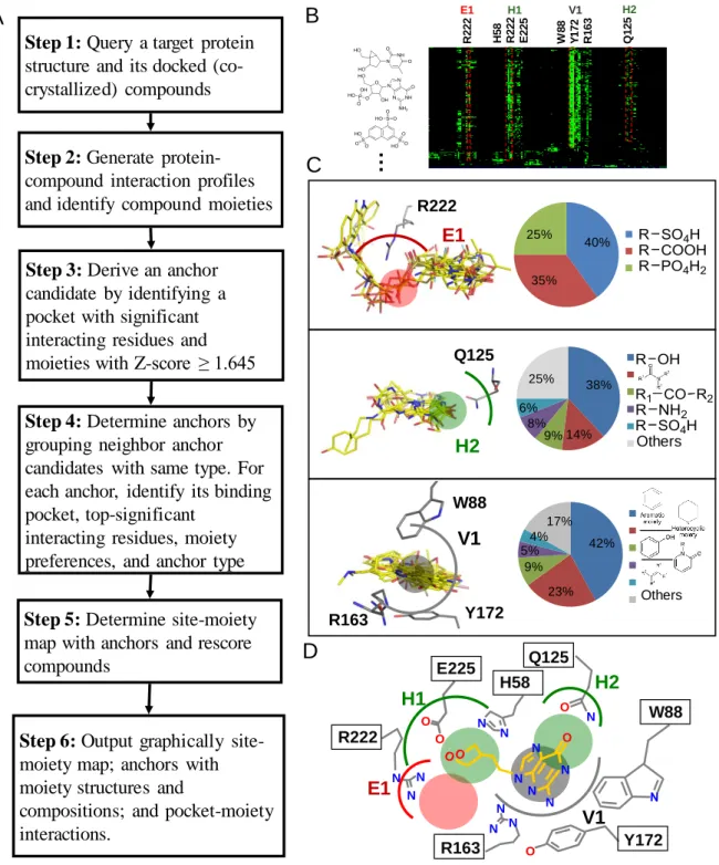 Figure 2.1. Overview of the SiMMap server for the site-moiety map using herpes simplex virus  type-1 thymidine kinase (TK) and 1000 docked compounds as the query