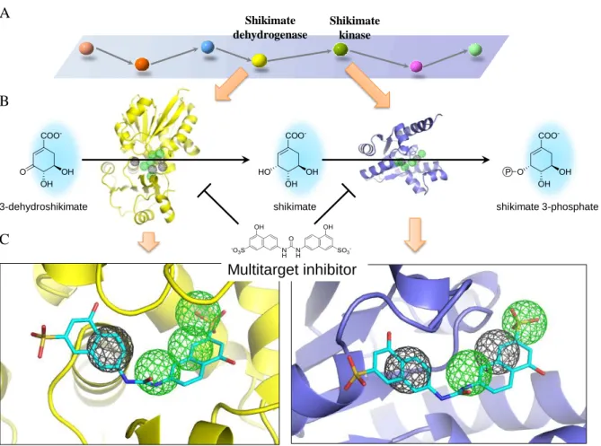 Figure 3.2. Discovery of multitarget inhibitors for inhibiting multiple proteins in a pathway
