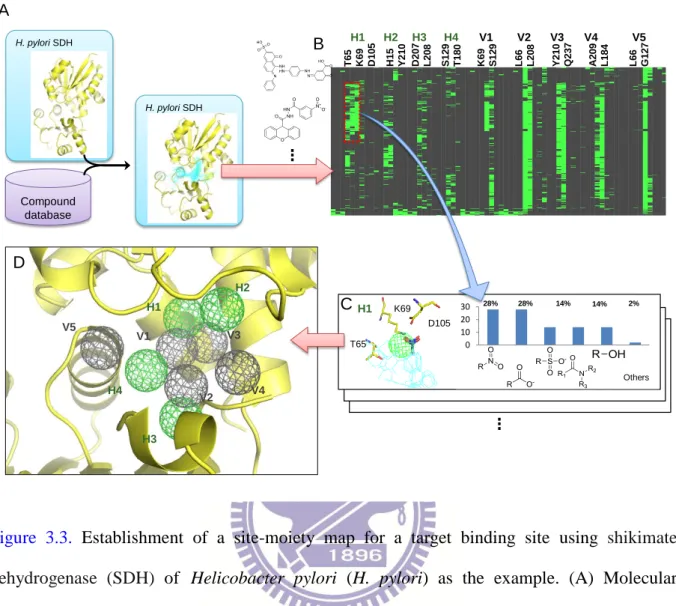 Figure  3.3.  Establishment  of  a  site-moiety  map  for  a  target  binding  site  using  shikimate  dehydrogenase  (SDH)  of  Helicobacter  pylori  (H