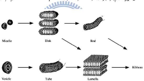 Figure 1-3. Schematic illustrations of possible morphology of amphiphilic  molecules in aqueous solution